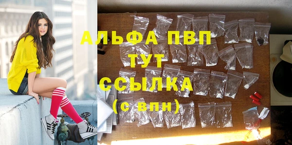 эйфоретик Покачи