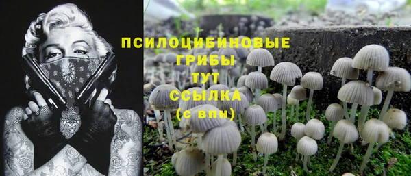 эйфоретик Покачи