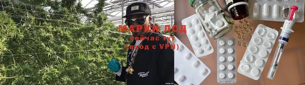 эйфоретик Покачи