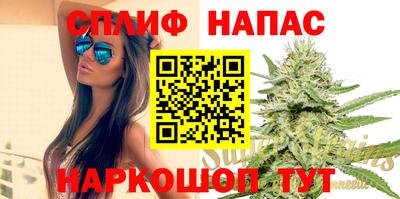 крисы Севастополь