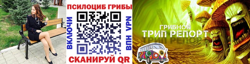 Галлюциногенные грибы MAGIC MUSHROOMS  что такое наркотик  Невинномысск 