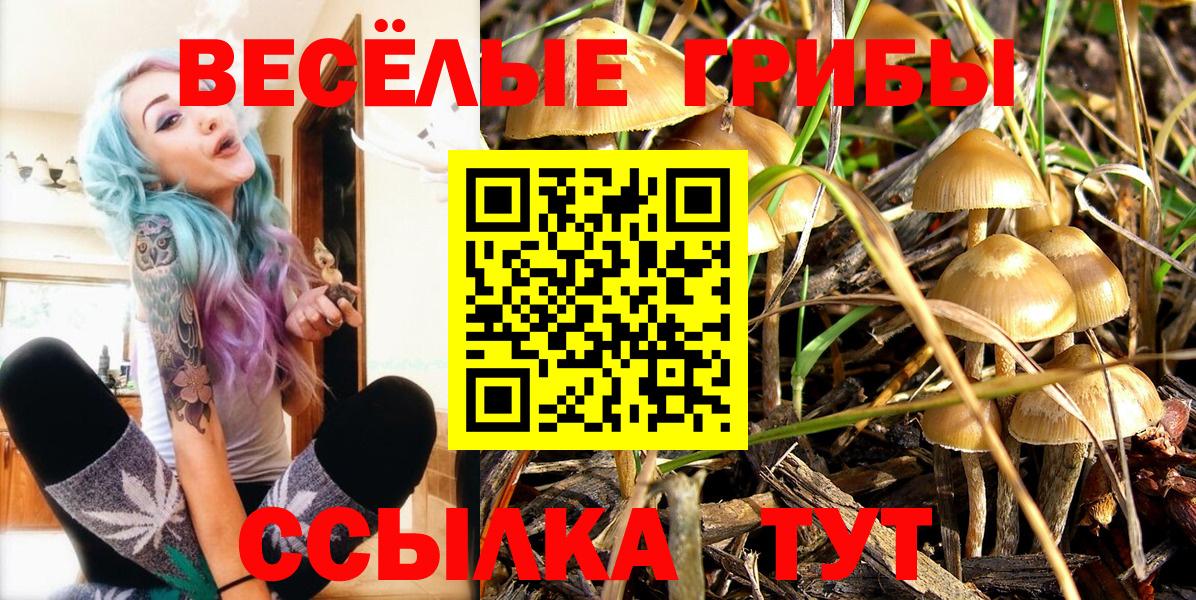 Невинномысск  Галлюциногенные грибы мицелий  Вход с VPN 